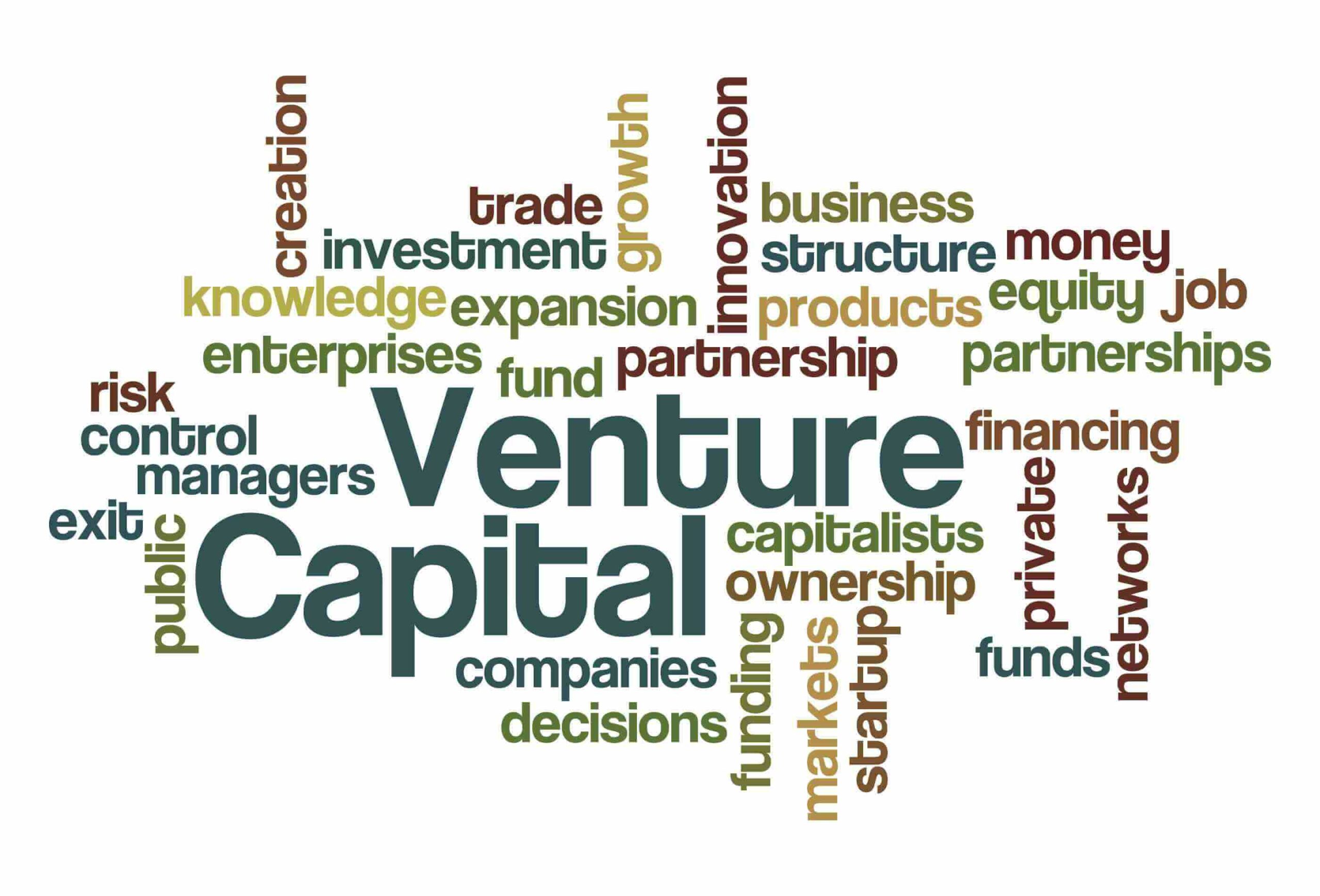 What Is Venture Capital?